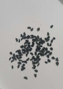 Yellow rain Lily Flowers seeds