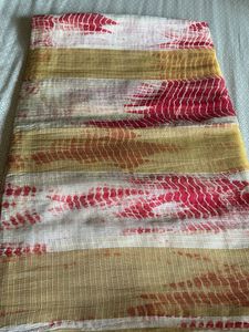Unique Striped Saree