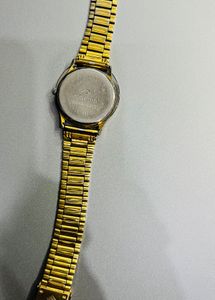 Men Regular Maxima Watch