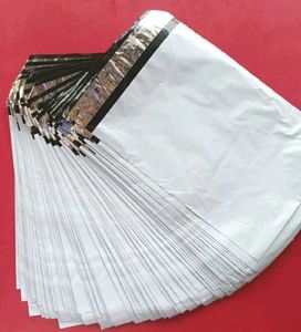 12Pcs (8*10) Courier Bags