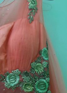 Elegant Peach Embroidered Gown