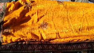 Exquisite Orange Saree Intricate Embellishmen