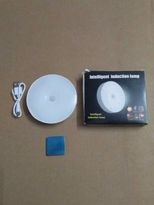Intelligent Induction Lamp