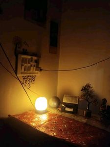 Rock Salt Lamp Working Condition