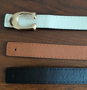 Women's Belt 3-in-1