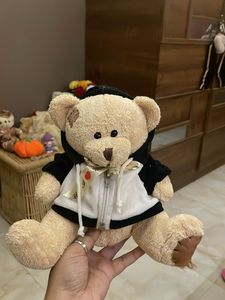 Cute Teddy Bear with Hoodie