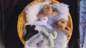 Korean Fur Hair Clutchers For Girls Pack Of 2