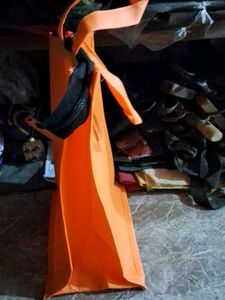 Orange Tiffin Bag