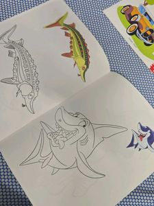 copy coloring book set of 4