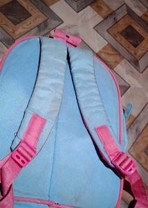Frozen School bag with free bottlefor Kids
