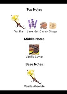 Burberry Goddess Perfume vials 1.5ml