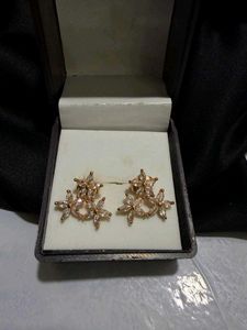 Elegant Teardrop Dangle Earrings