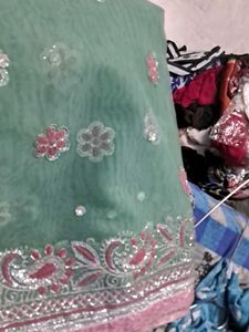 Embroidered Mint Green Saree