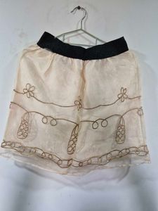 Sheer Embroidered Ethnic Skirt