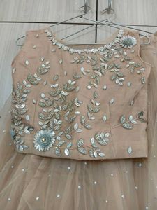 Embellished Lehenga Choli(NEW)