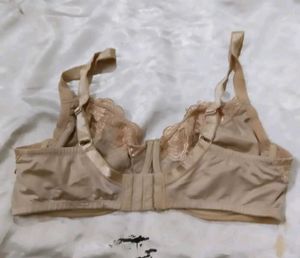 Elegant satin Lace Bra