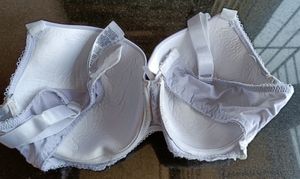 Imported Lavender Colour Bra.