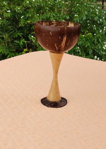 1 peice Coconut Shell Goblet wine/icecream glasses