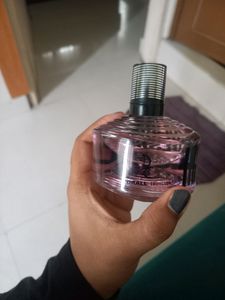 Dorall Collection  Women