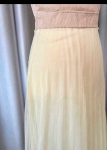 Chic Cream Tulle Layered Dress