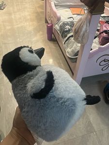 Cute Penguin Plush Toy