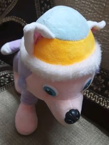 Cute Puppy