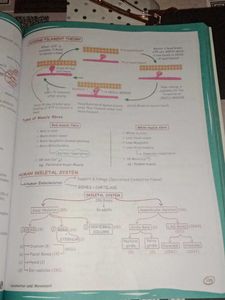 Zoology Med Easy 2.0 Book