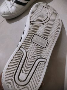 Sparx Shoes