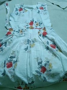 Floral Print Sleeveless Dress