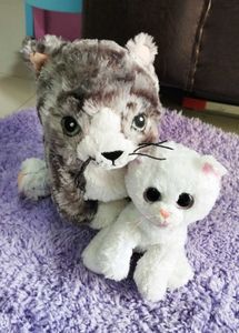 Stuffed Animal Cats