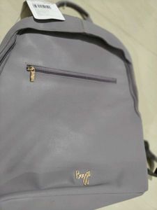 Baggit L Greedy purple solid laptop backpack