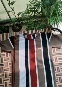 Striped T-Shirt - ZARA Brand