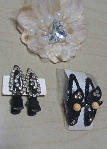 3 Combo Beautiful Hair Clips✨