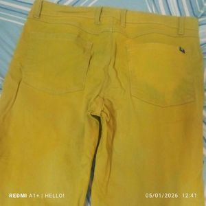branded pant for men