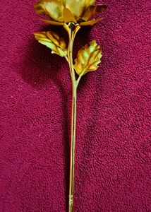 Golden Rose