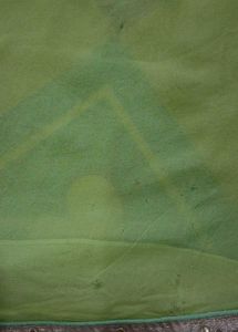 Designer Saree with Embellished Border