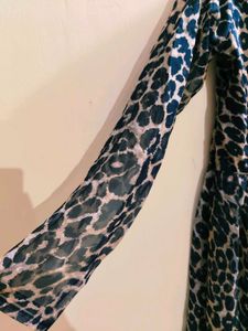 Animal Print Long Sleeve Dress