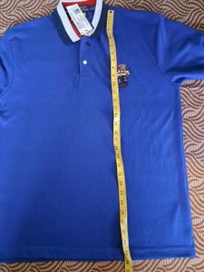 Polo Ralph Lauren Bear