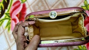 Tiger Embellished Clutch