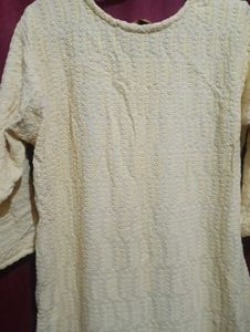Elegant Chikankari Kurta