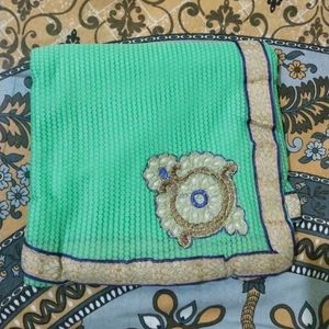 Beautiful Green Saree with Embellishments
