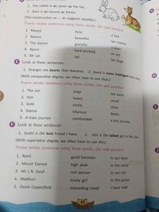 Essentials of English Grammar Book