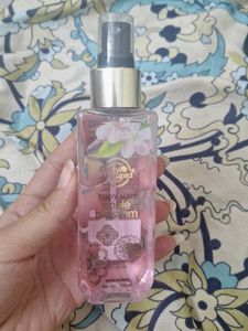Body Cupid Apple Blossom Bod