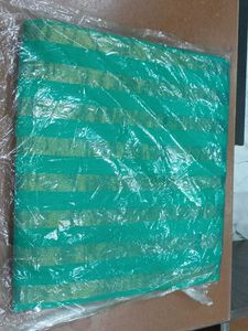 Green Saree with Gold Stripes
