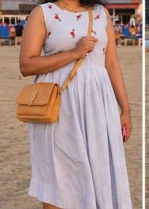 Light Blue Striped Embroidered Midi Dress