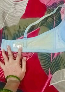 No 1 Bra