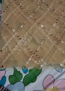 Embellished Net Dupatta