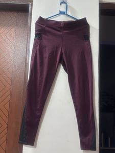 Stylish Burgundy tights with Mesh Accents