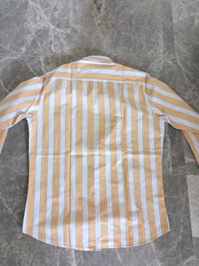 Van hausen Striped Men's Casual Shirt