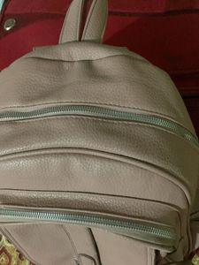 Chic Dusty Rose Backpack
